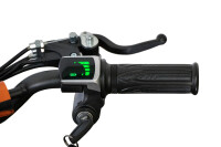 Replay DLX 6" 1000W Lithium Akku Elektro-Quad Blau