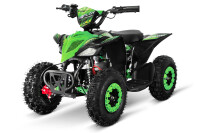 Replay DLX 6" 1000W Lithium Akku Elektro-Quad Blau