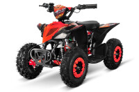 Replay DLX 6" 1000W Lithium Akku Elektro-Quad Blau