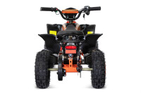 Replay DLX 6" 1000W Lithium Akku Elektro-Quad Blau