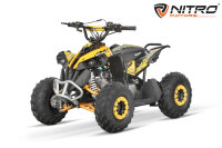 Avenger RG6-A PRM 125cc midi Kinder Quad