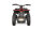 Anaconda VX 500W 36V12Ah Lithium Brushless