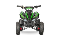 Pyhton Cross Eco mini Quad 1000W 36V 6 Zoll