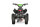 Pyhton Cross Eco mini Quad 1000W 36V 6 Zoll