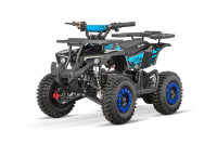 Dusty VX Cross 1000W 36V 6Zoll