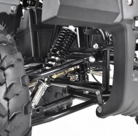 Farmer 1200 Watt 60V mit Differential