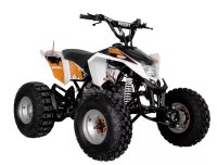 Hecht Sport ATV 125 cm³ 8 Zoll 3-Gang + RG