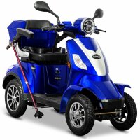 E-Quad 25 V.2, Blei-Gel Akku, 1000Watt, 25 km/h EEC