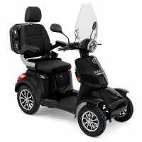 E-Quad 25 V.3 PREMIUM Lithium-Akku, 1000Watt, 25 km/h EEC