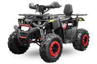 Rugby RS10 CVT V2 Offroad Edition Quad 180cc 10 Zoll...